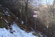 31 Proseguo a dx sul 519 per il Suchello (a dx il 525 per Forc. Barbata ed Alben)